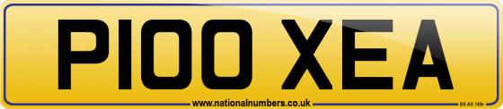 P100 XEA