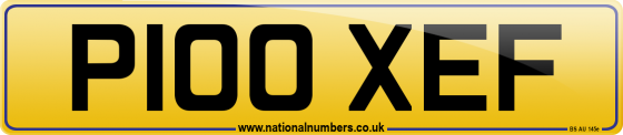 P100 XEF