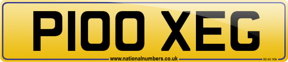 P100 XEG