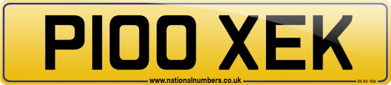 P100 XEK