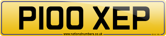 P100 XEP