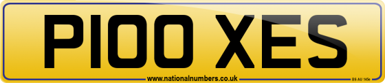 P100 XES