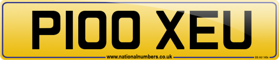 P100 XEU