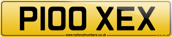 P100 XEX