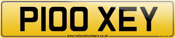 P100 XEY