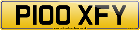 P100 XFY