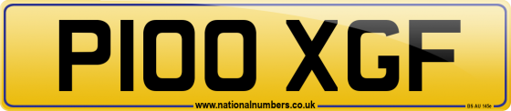 P100 XGF