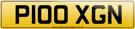 P100 XGN