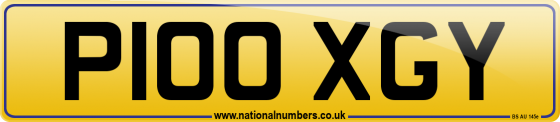 P100 XGY