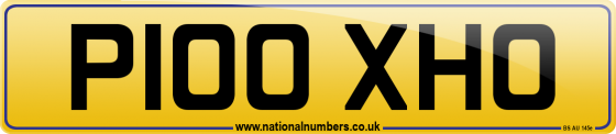 P100 XHO