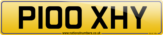 P100 XHY