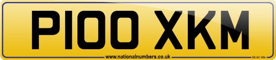 P100 XKM