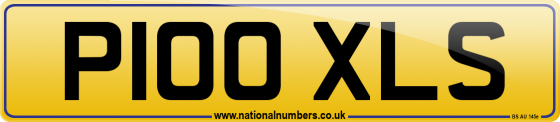 P100 XLS