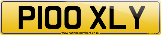 P100 XLY