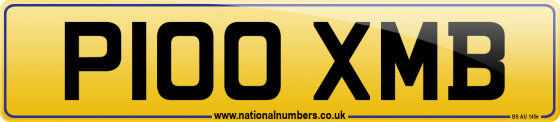 P100 XMB