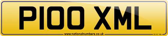 P100 XML