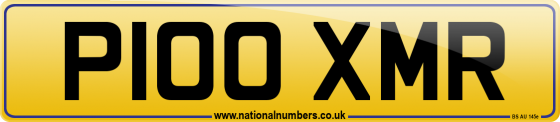 P100 XMR