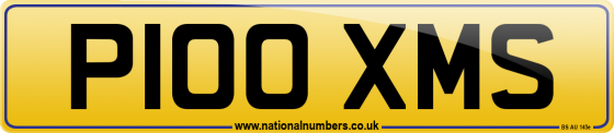 P100 XMS
