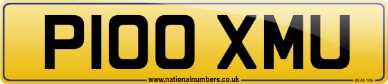 P100 XMU