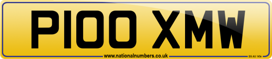 P100 XMW