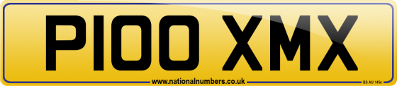 P100 XMX