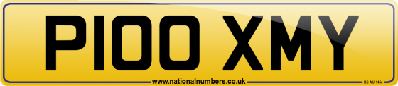 P100 XMY