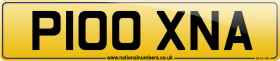 P100 XNA