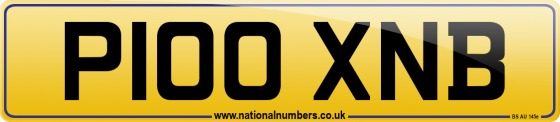 P100 XNB