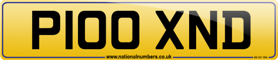 P100 XND