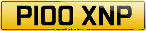P100 XNP