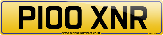 P100 XNR
