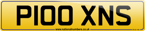 P100 XNS