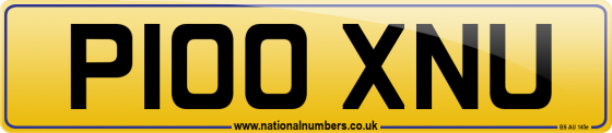 P100 XNU