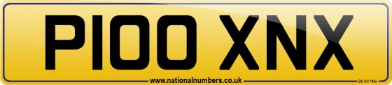 P100 XNX