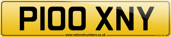 P100 XNY