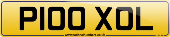 P100 XOL