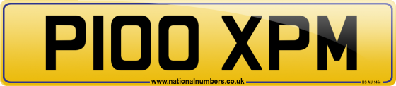 P100 XPM