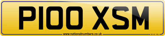 P100 XSM