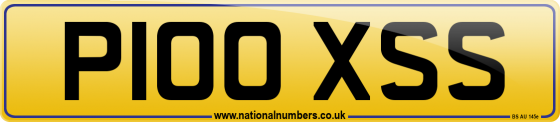 P100 XSS
