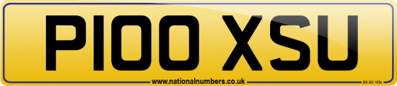 P100 XSU