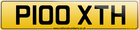 P100 XTH