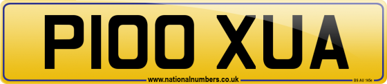 P100 XUA