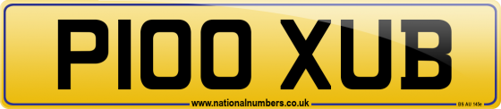 P100 XUB