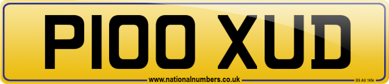 P100 XUD