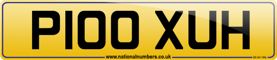 P100 XUH