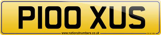 P100 XUS