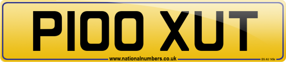 P100 XUT