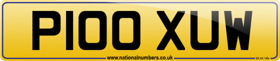 P100 XUW