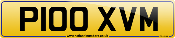 P100 XVM
