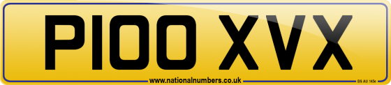 P100 XVX